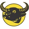 Binh Dien Longan (Women) logo