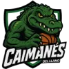 Caimanes del Llano logo