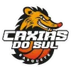 Caxias do Sul logo