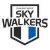 Cheonan Hyundai Capital Skywalkers logo
