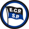 E.C. Pinheiros Sky Sao Paulo logo