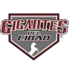 Gigantes del Cibao logo
