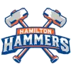 Hamilton Hammers logo
