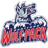 Hartford Wolf Pack logo