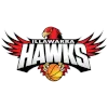 Illawarra Hawks logo