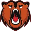 Kuznetskie Medvedi logo