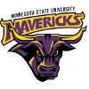 Minnesota State logo