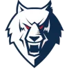 Neftekhimik logo