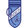 Reducto logo