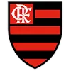 SESC Flamengo (Women) logo