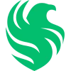 Team Falcons logo