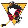 Wilkes-Barre Scranton Penguins logo